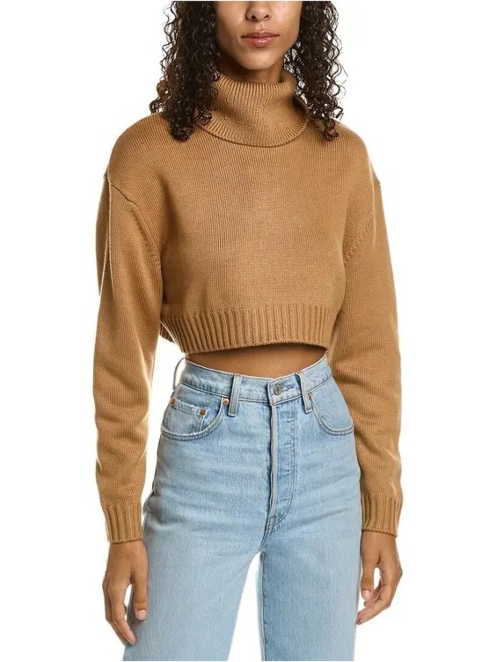 Ronny Kobo Sarki Wool-Blend Cropped Turtleneck Sweater